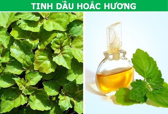 Những loại "chất lỏng" đắt đỏ nhất hành tinh - 1 Những loại "chất lỏng" đắt đỏ nhất hành tinh - 1