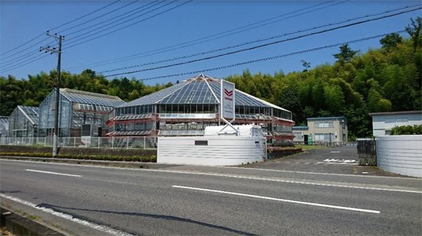 Công ty Yanmar Symbiosis lần đầu đạt Chứng nhận GLOBALG.A.P - 1