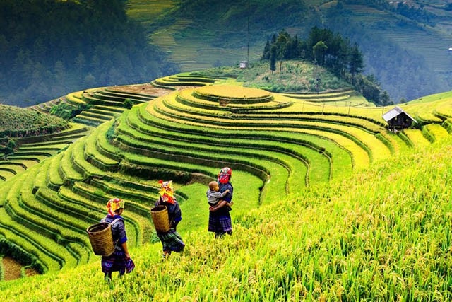 15 địa điểm đẹp nhất Việt Nam, bạn đã check in được bao nhiêu nơi rồi? |  Báo Dân trí