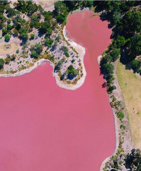 Hồ nước màu hồng gây xôn xao ở Nga - 3 Hồ nước màu hồng ở Melbourne (Ảnh: Instagram)