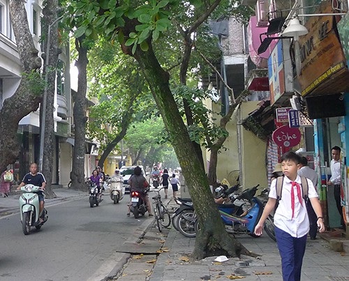 Hà Nội nỗ lực làm đường đi bộ đến trường cho trẻ - 7 Trường Tiểu học Tràng An đóng cửa. Trên đường có một xe máy chở học sinh đi ngược chiều trên phố Nhà Thờ. Ngay tại ngã tư phố Nhà Chung - Nhà Thờ có biển cấm đi ngược chiều và có tổ bảo vệ chốt trực nhưng tình trạng xe vi phạm vẫn diễn ra.