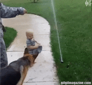 “Thú vị lắm, cứ chơi thử xem nào!”, em bé nói với chú chó