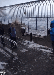 Nỗi khổ của tóc dài khi đi trong gió