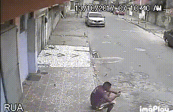 Chú chó thật khéo biết “đùa”