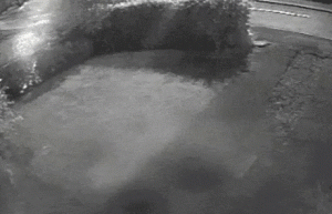 Làm thế nào để bước ra khỏi xe thật phong cách?