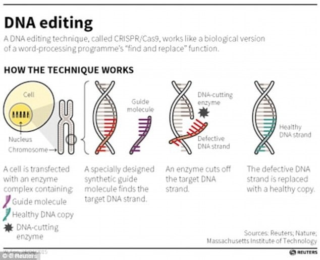 
Crispr là một công cụ để chỉnh sửa chính xác DNA, được phát hiện trong nghiên cứu vi khuẩn.
