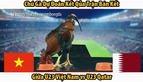 “Nở rộ” clip rùa, gà dự đoán kết quả trận Việt Nam - Qatar - 3
Một chú gà trống đã chọn... mổ thức ăn bên phía Việt Nam. (Ảnh cắt từ clip)
