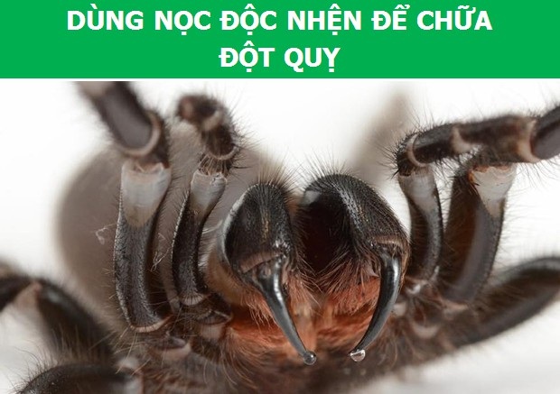 Cùng nhìn lại những phát kiến khoa học ấn tượng nhất năm 2017 vừa qua (P2) - 2 Cùng nhìn lại những phát kiến khoa học ấn tượng nhất năm 2017 vừa qua (P2) - 2