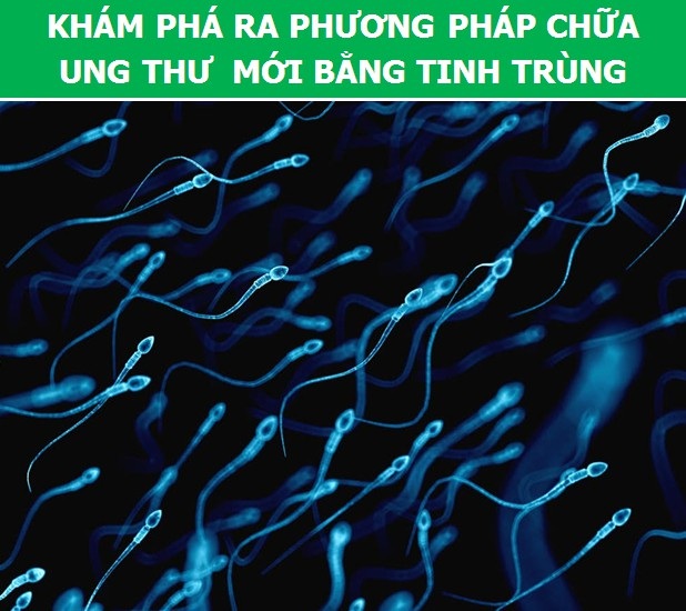 Cùng nhìn lại những phát kiến khoa học ấn tượng nhất năm 2017 vừa qua (P2) - 3 Cùng nhìn lại những phát kiến khoa học ấn tượng nhất năm 2017 vừa qua (P2) - 3
