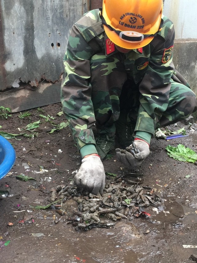 Vụ nổ kinh hoàng ở Bắc Ninh: Thu 6,7 tấn đầu đạn, kim loại - 2
Hơn 6,7 tấn đầu đạn, kim loại đã được thu gom
