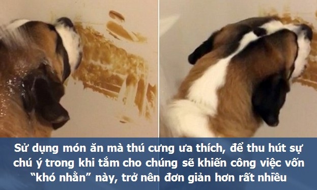 Cẩm nang những mẹo vặt hay cho cuộc sống hàng ngày - 2 Cẩm nang những mẹo vặt hay cho cuộc sống hàng ngày - 2