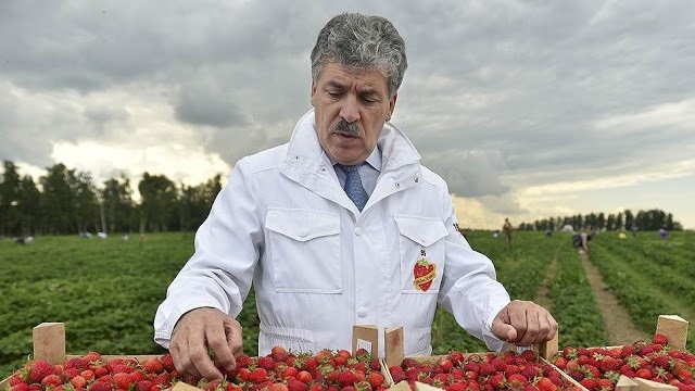 Ông chủ nông trang thách thức Tổng thống Putin trong bầu cử - 1 Ông Pavel Grudinin đi lên từ một nông dân trồng dâu tây bình thường tới vị trí ứng viên tổng thống của đảng Cộng sản Nga (Ảnh: Fort Russ)