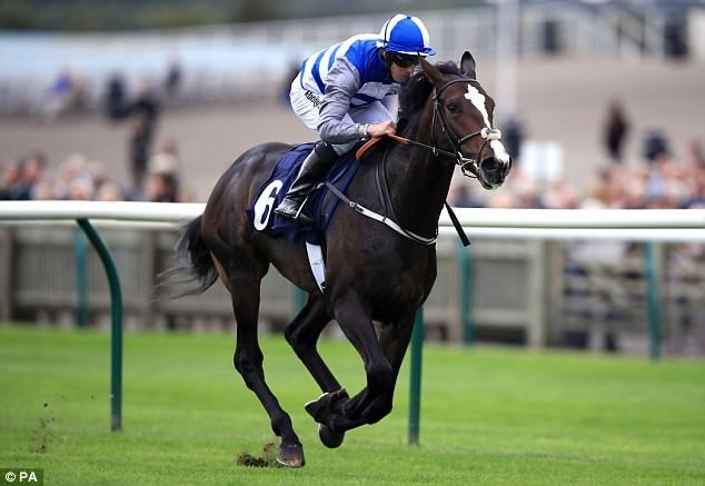 
Những con ngựa vô địch như Frankel có lẽ sẽ ra đời vào năm 2019.
