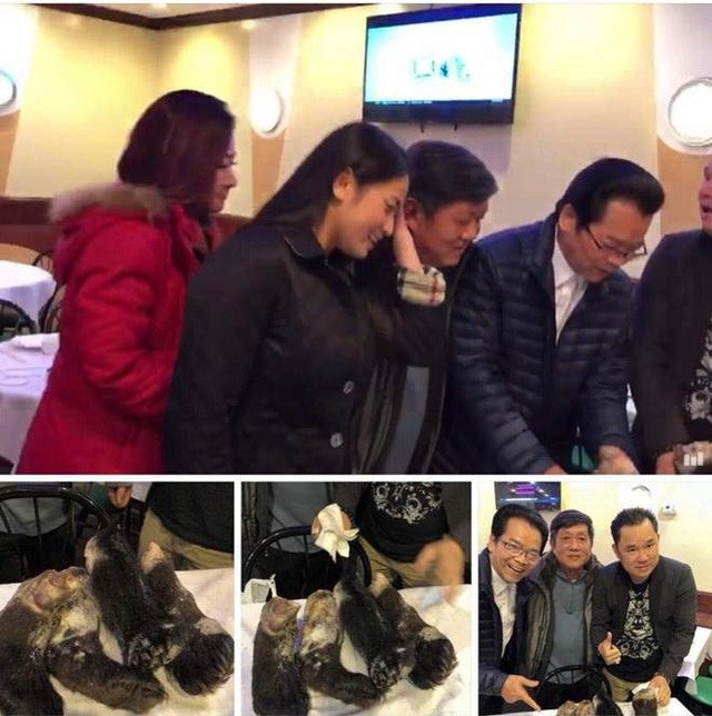 NSND Trần Nhượng tự “minh oan”, MC Lại Văn Sâm bênh vực “người kế nhiệm” - 2 Phóng viên đã liên lạc với NSND Trần Nhượng và nhận được lời giải thích đây chỉ là sự hiểu lầm không đáng có trong chuyến du lịch vừa qua của ông tại Mỹ. “Thực ra đây là bức ảnh khi chúng tôi vào một nhà hàng tại Mỹ thì thấy mấy tay gấu. Anh em chúng tôi nghịch ngợm, chụp hình để làm kỷ niệm. Không ngờ người bạn trong đoàn lại tếu táo chia sẻ trên trang cá nhân và nói rằng chúng tôi đi săn gấu ở Bắc Cực. Đây thực sự là một sự vô tình và hiểu lầm và khiến tôi rất buồn và khó chịu, ông nói.