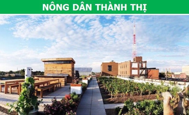 Những nghề nghiệp “không tưởng” có thể xuất hiện trong tương lai - 1 Những nghề nghiệp “không tưởng” có thể xuất hiện trong tương lai - 1