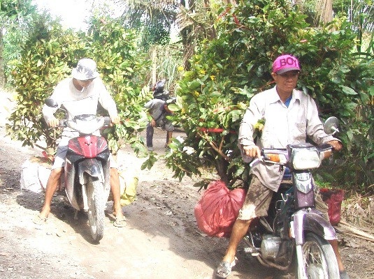 Những "nghệ nhân" bứng mai Tết kiếm tiền triệu mỗi ngày ở Sài Gòn - 8 Vận chuyển mai đến nơi tập kết.