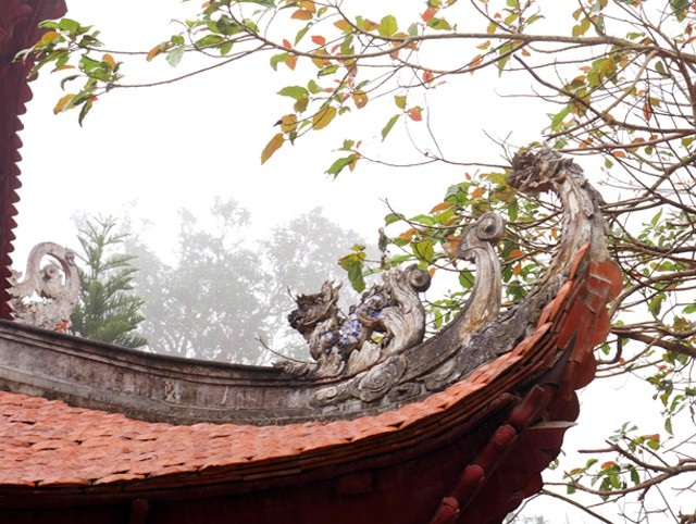Ít người biết, ngay gần Hà Nội đã có rừng phong lá đỏ - 9 Ít người biết, ngay gần Hà Nội đã có rừng phong lá đỏ - 9