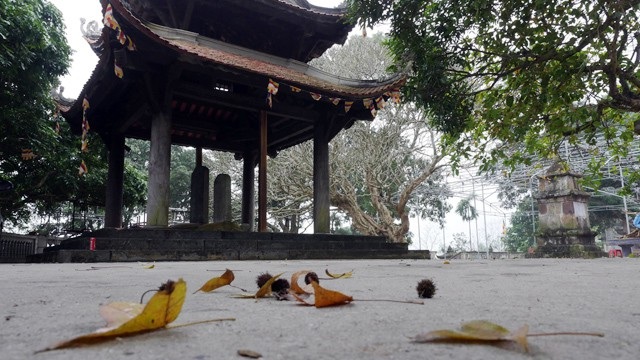 Ít người biết, ngay gần Hà Nội đã có rừng phong lá đỏ - 10 Ít người biết, ngay gần Hà Nội đã có rừng phong lá đỏ - 10