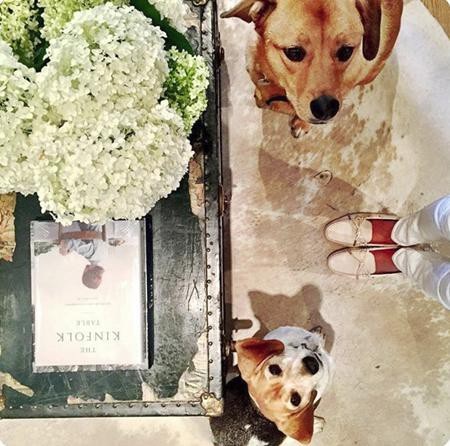 Với công nương tương lai thì hai chú chó Bogart và Guy chính là hai trợ thủ đắc lực giúp tân trang nhà cửa.