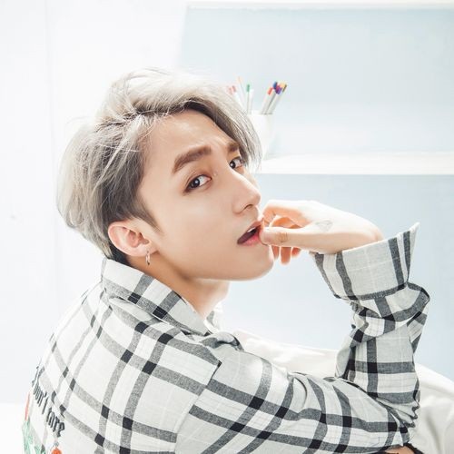 Nhóm nhảy khuyết tật đình đám thế giới sang Việt Nam trình diễn cùng Sơn Tùng M-TP - 2 Sơn Tùng M-TP cũng sẽ mang đến những ca khúc đã làm nên tên tuổi của anh cùng câu chuyện vượt lên tất cả để theo đuổi ước mơ.