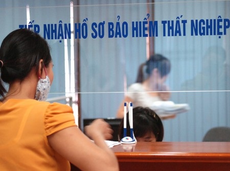 Quảng Trị: Tư vấn việc làm cho lao động trẻ - 5 Quảng Trị: Tư vấn việc làm cho lao động trẻ - 5