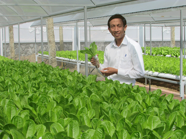 Bị kêu "khùng" khi bỏ lương 25 triệu đồng/tháng để khởi nghiệp giải pháp trồng rau sạch - 1 Bỏ lương 25 triệu đồng/tháng, Nguyễn Quốc Phong về khởi nghiệp với dự án cung cấp giải pháp trồng rau sạch