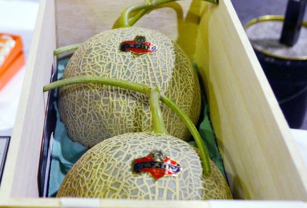Lý do thực sự khiến trái cây Nhật Bản có giá "trên trời" - 2 Lý do thực sự khiến trái cây Nhật Bản có giá "trên trời" - 2