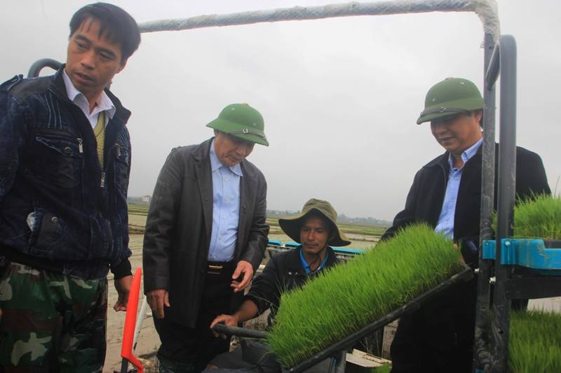 Quảng Trị áp dụng công nghệ mới, cơ giới hóa trong sản xuất nông nghiệp - 2 Quảng Trị áp dụng công nghệ mới, cơ giới hóa trong sản xuất nông nghiệp - 2