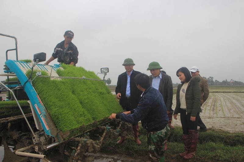 Quảng Trị áp dụng công nghệ mới, cơ giới hóa trong sản xuất nông nghiệp - 1 Quảng Trị áp dụng công nghệ mới, cơ giới hóa trong sản xuất nông nghiệp - 1