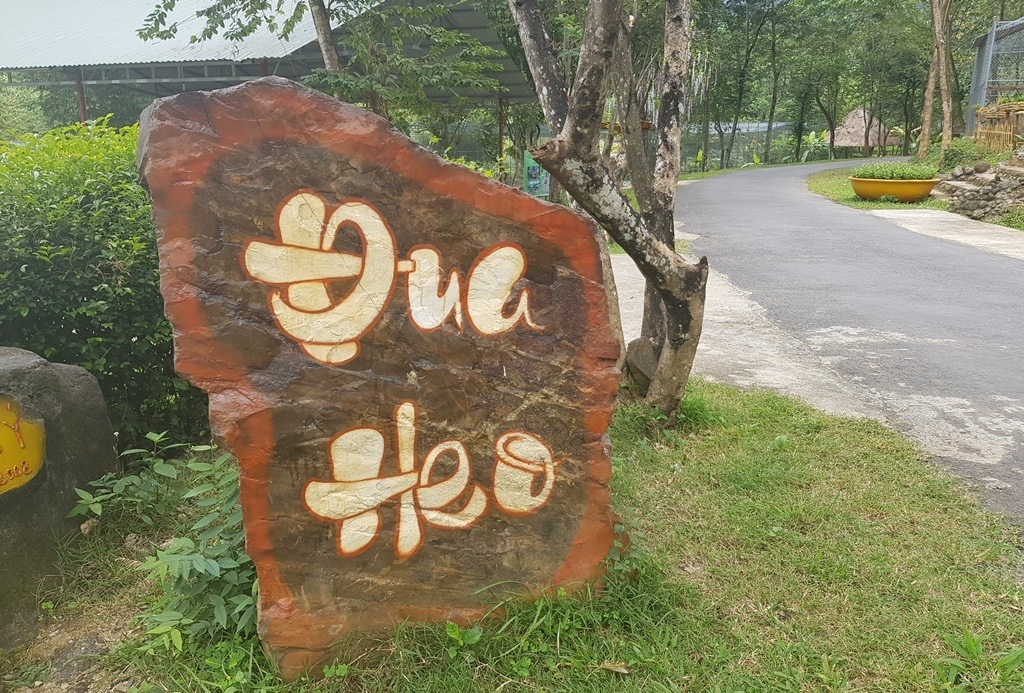 Mùng 2 Tết, cười bể bụng với bầy heo đua - 1 Mùng 2 Tết, cười bể bụng với bầy heo đua - 1