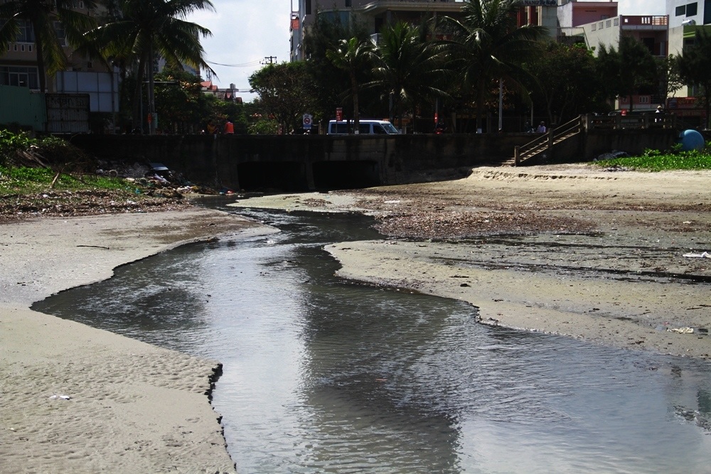 Gần 4 km bờ biển Đà Nẵng nước đen ngòm sau Tết - 2 Gần 4 km bờ biển Đà Nẵng nước đen ngòm sau Tết - 2