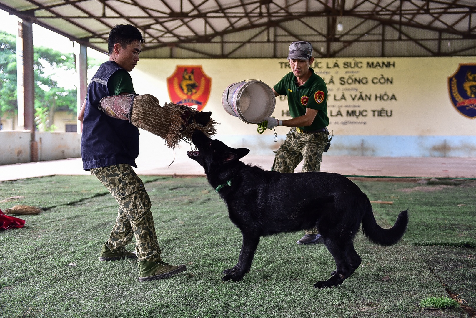 Sau hàng loạt vụ chó tấn công kinh hoàng: Những kinh nghiệm sống còn để thoát hiểm - 9 Sau hàng loạt vụ chó tấn công kinh hoàng: Những kinh nghiệm sống còn để thoát hiểm - 9