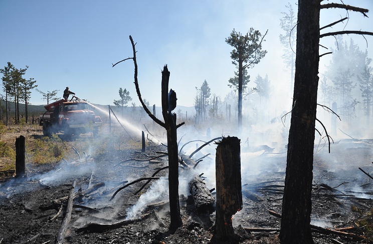 Ông Putin bận xử lý cháy rừng trước cuộc gặp lịch sử với ông Kim