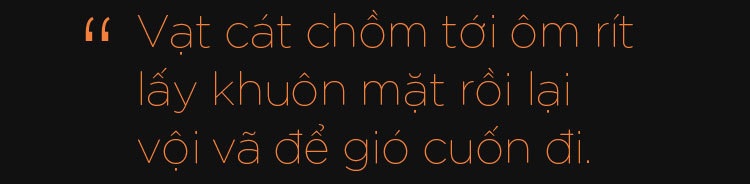 Bí mật ở Ninh Thuận: Vùng đất của những trải nghiệm như mơ - 7 Bí mật ở Ninh Thuận: Vùng đất của những trải nghiệm như mơ - 7