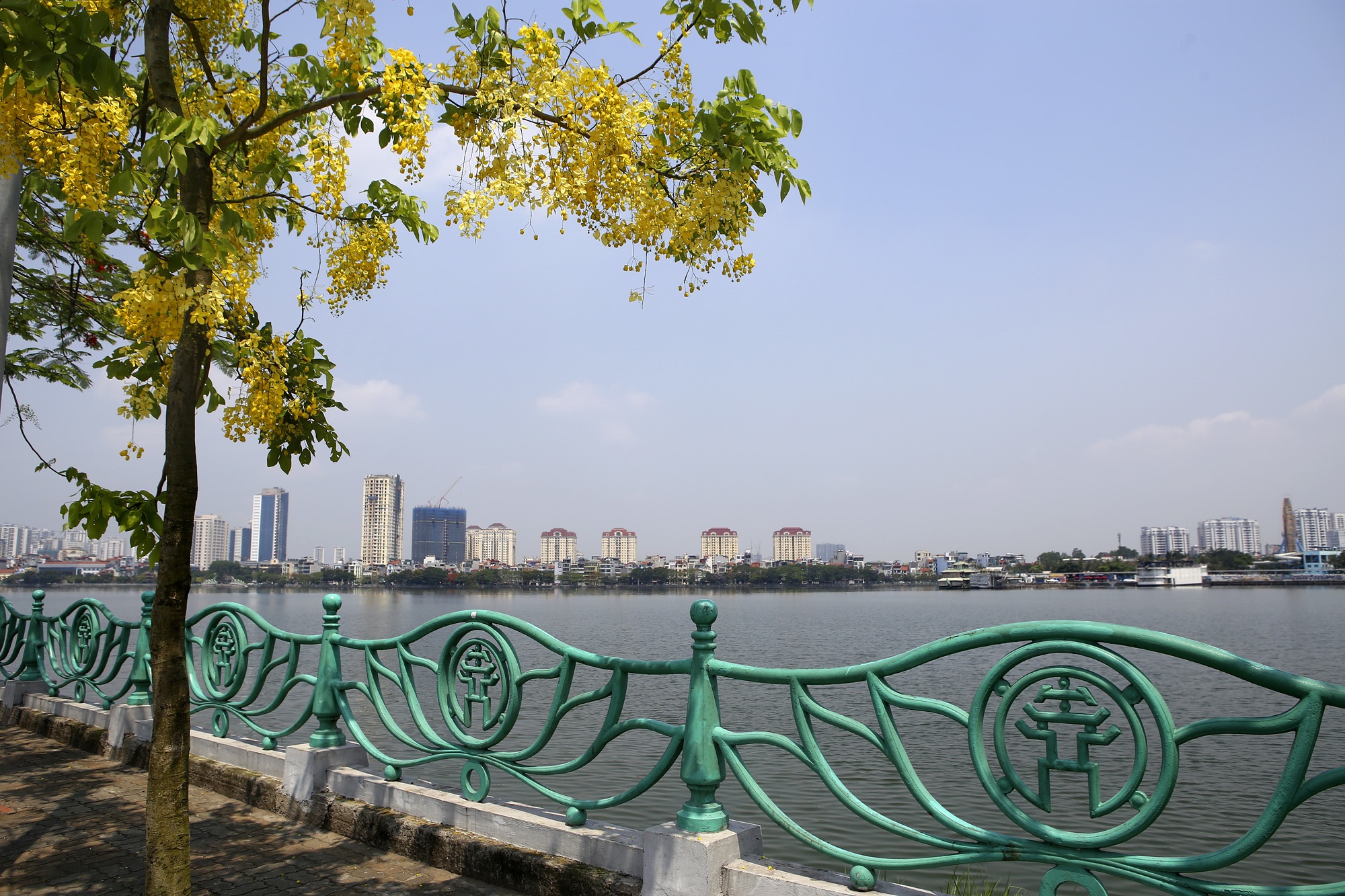 Hà Nội những mùa hoa tháng 5 - 13 Hà Nội những mùa hoa tháng 5 - 13