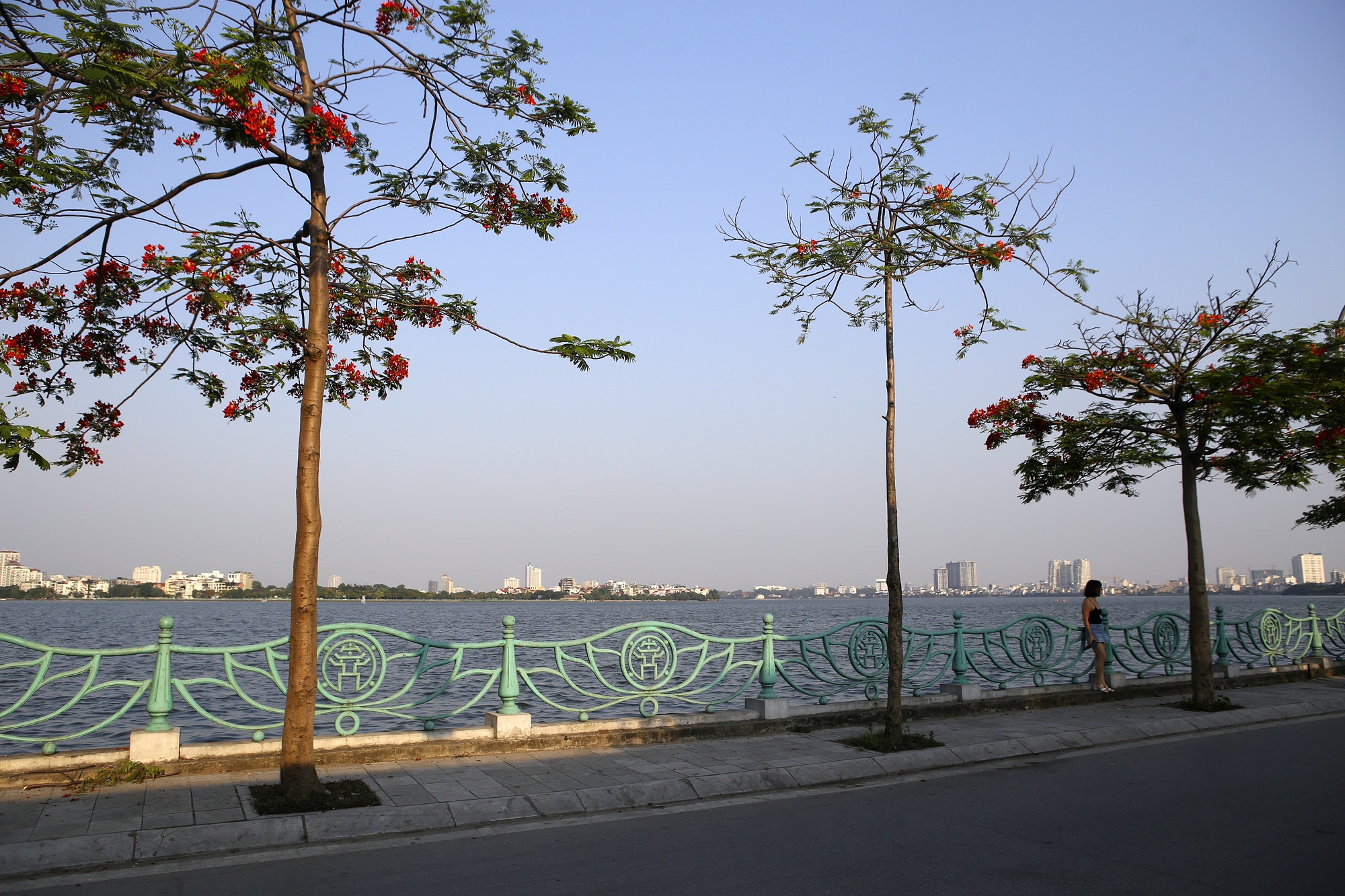Hà Nội những mùa hoa tháng 5 - 5 Hà Nội những mùa hoa tháng 5 - 5