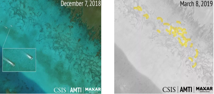 “Đội tàu hủy diệt” của Trung Quốc khai thác ồ ạt, tàn phá môi trường Biển Đông
