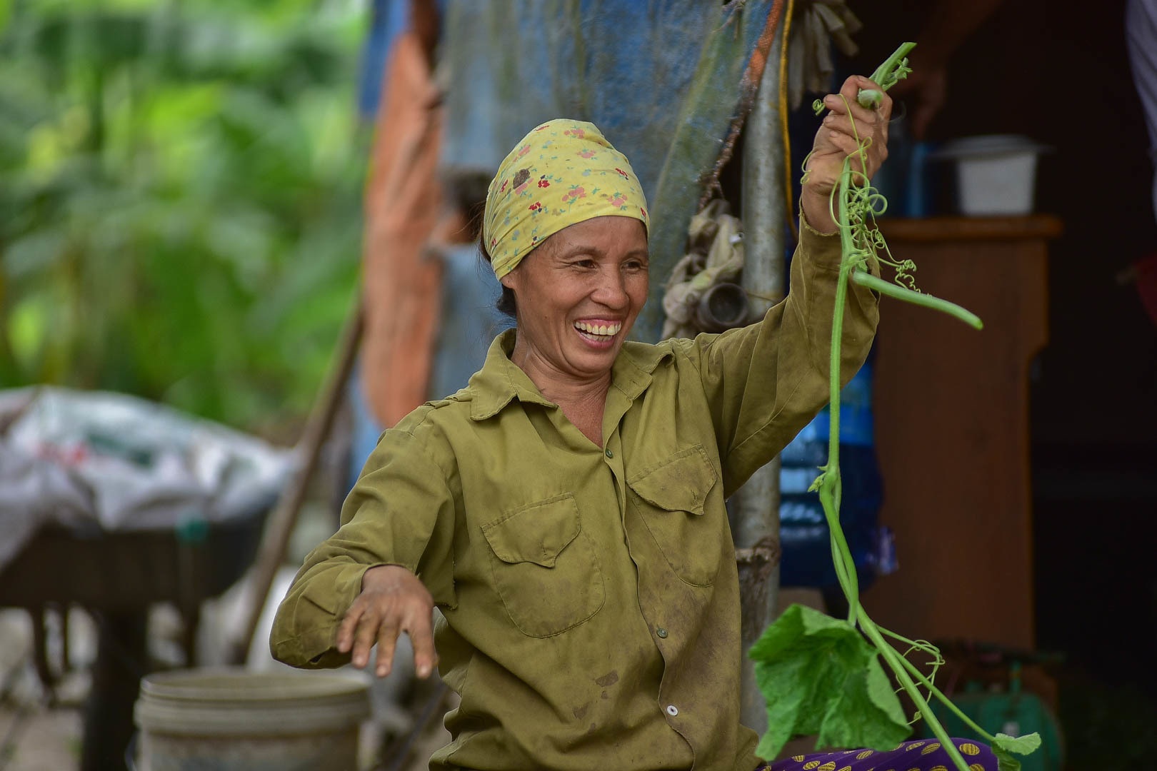 Chị em “bà trùm” rau sạch nơi “đảo hoang” giữa sông Hồng - 9 Chị em “bà trùm” rau sạch nơi “đảo hoang” giữa sông Hồng - 9