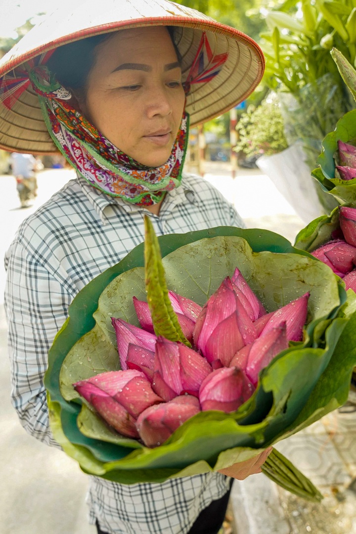 Nhẹ nhàng hương sắc hoa sen đầu mùa - 10 Nhẹ nhàng hương sắc hoa sen đầu mùa - 10