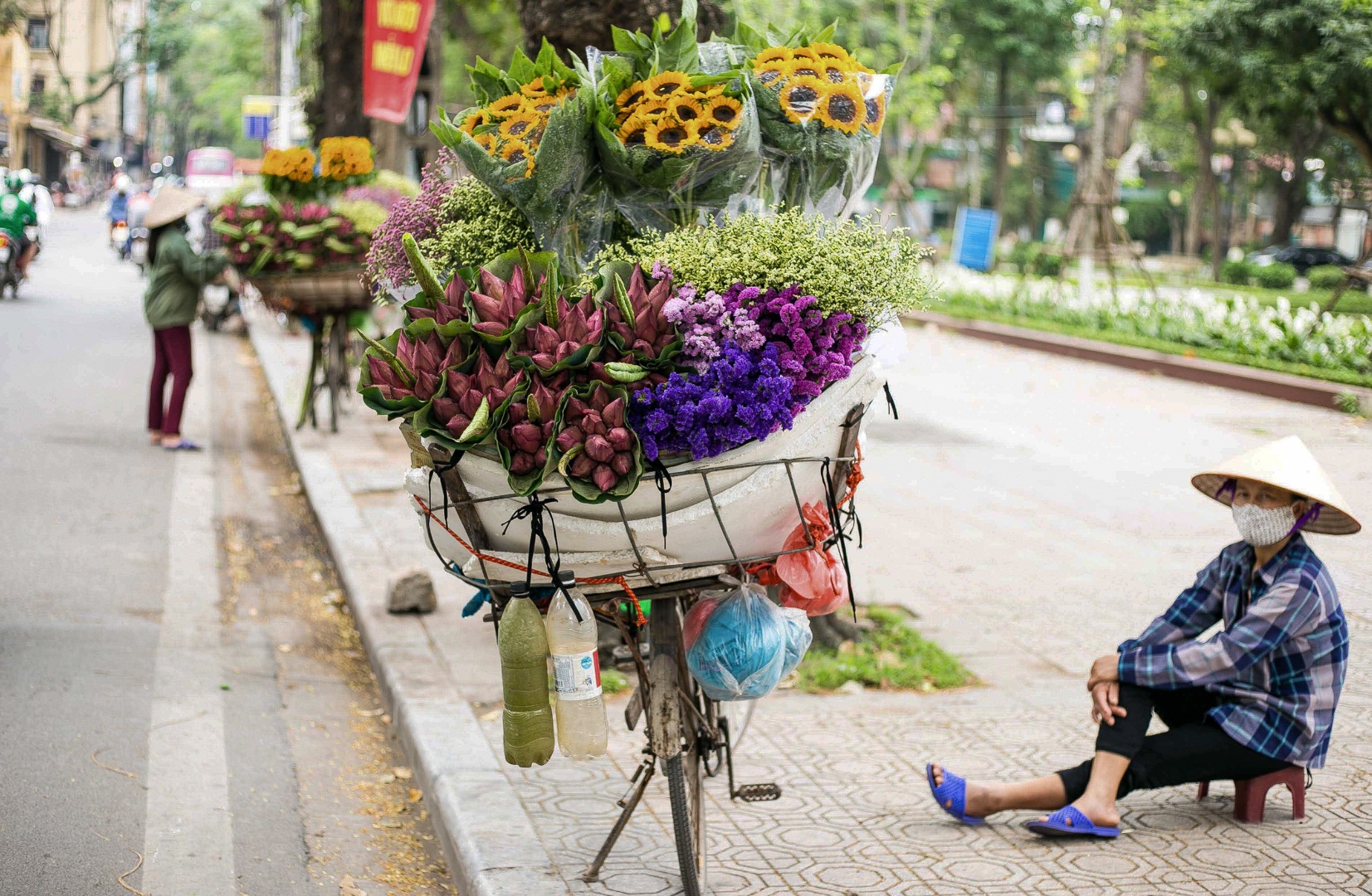 Nhẹ nhàng hương sắc hoa sen đầu mùa - 1 Nhẹ nhàng hương sắc hoa sen đầu mùa - 1
