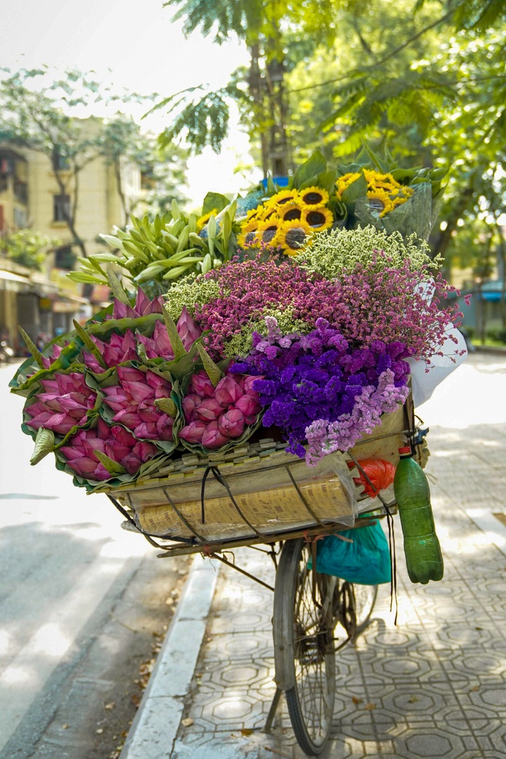 Nhẹ nhàng hương sắc hoa sen đầu mùa - 6 Nhẹ nhàng hương sắc hoa sen đầu mùa - 6