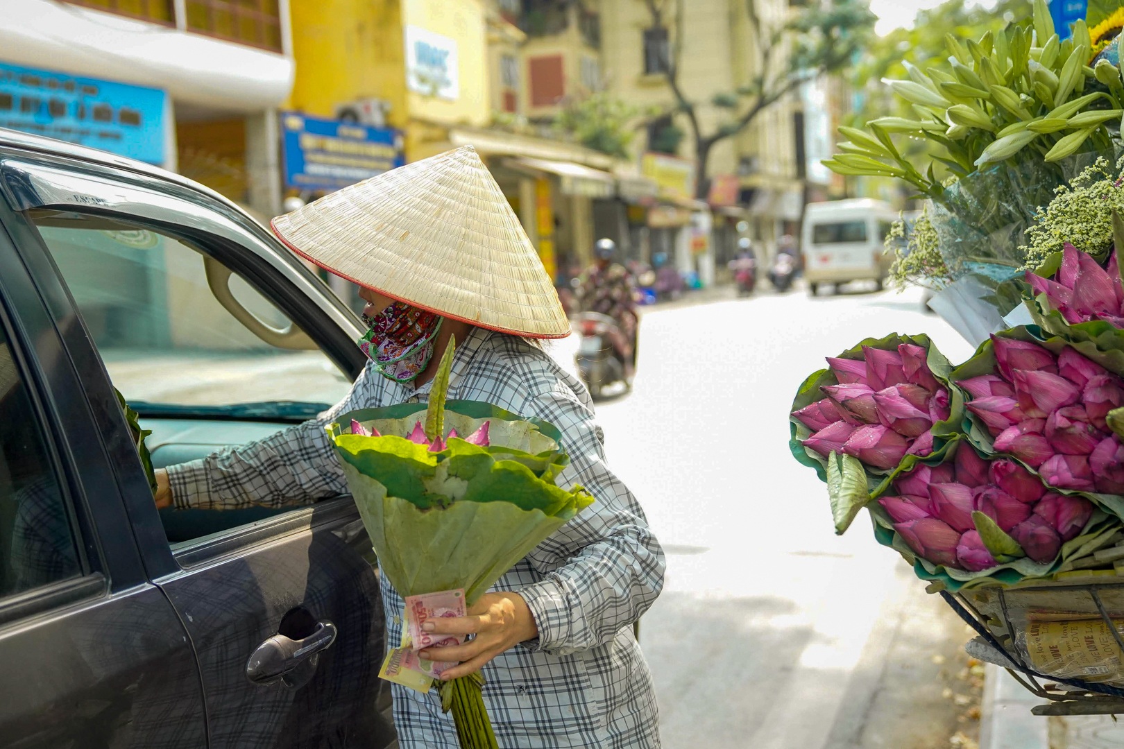 Nhẹ nhàng hương sắc hoa sen đầu mùa - 11 Nhẹ nhàng hương sắc hoa sen đầu mùa - 11