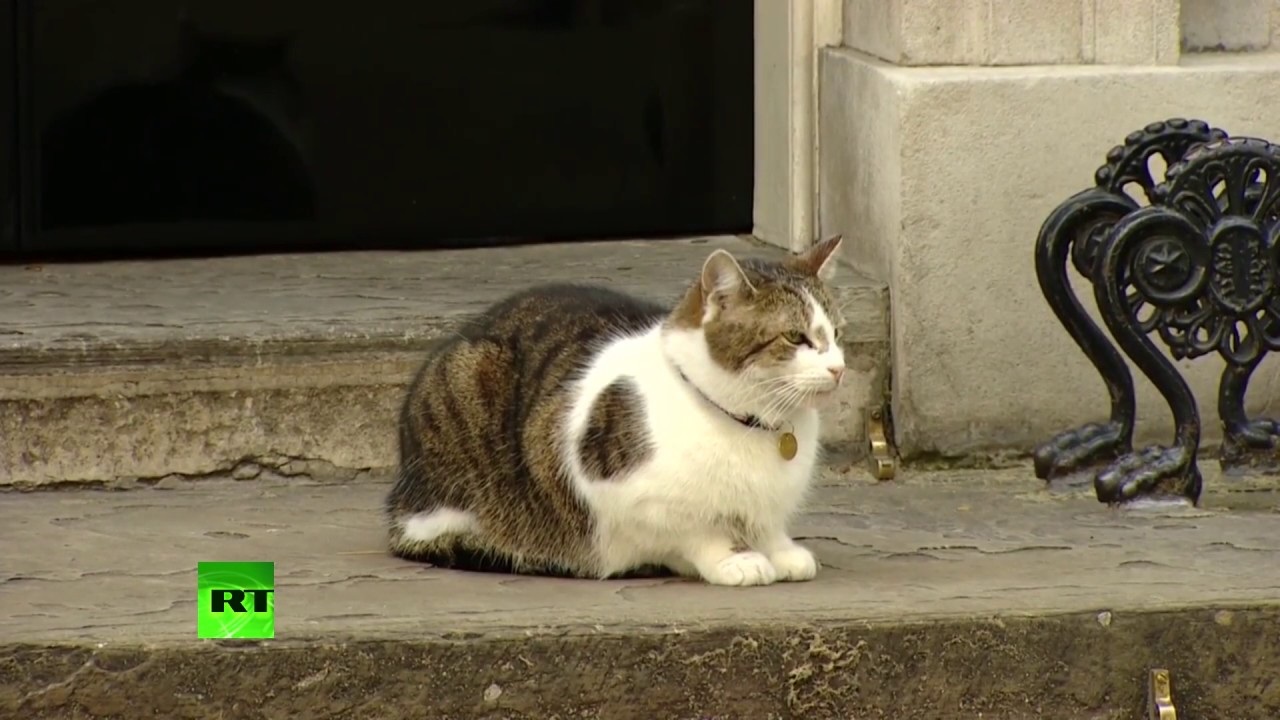 "Nhân vật quyền lực” thoải mái tiếp cận siêu xe "quái thú" của ông Trump tại Anh