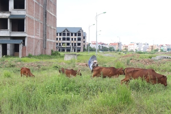 Bất động sản tại 4 huyện đề xuất lên quận: Nhà đầu tư chơ vơ sau cơn sốt - 1 Bất động sản tại 4 huyện đề xuất lên quận: Nhà đầu tư chơ vơ sau cơn sốt - 1