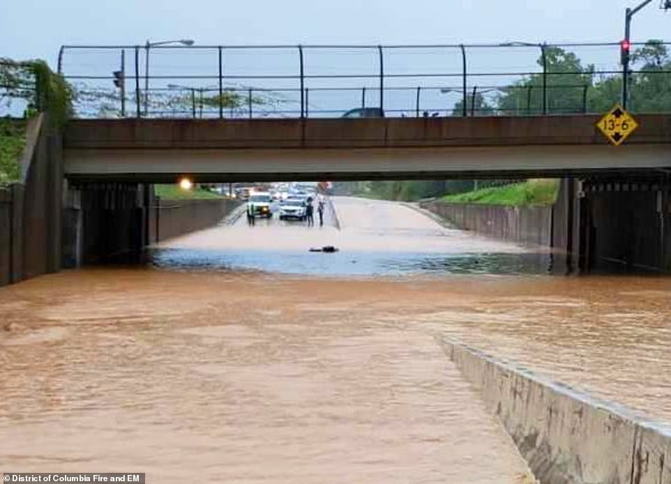 Thủ đô Wasington ngập nặng vì mưa lớn, Nhà Trắng cũng không thoát