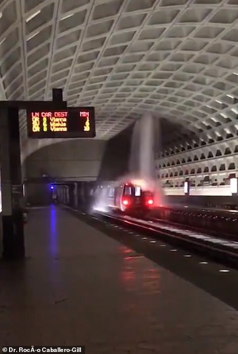 Thủ đô Wasington ngập nặng vì mưa lớn, Nhà Trắng cũng không thoát