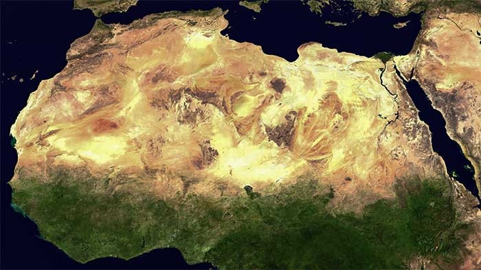 Điều gì sẽ xảy ra nếu chúng ta biến toàn bộ sa mạc Sahara thành rừng?