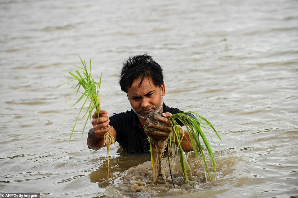 Lũ kinh hoàng khiến 152 người thiệt mạng ở Ấn Độ