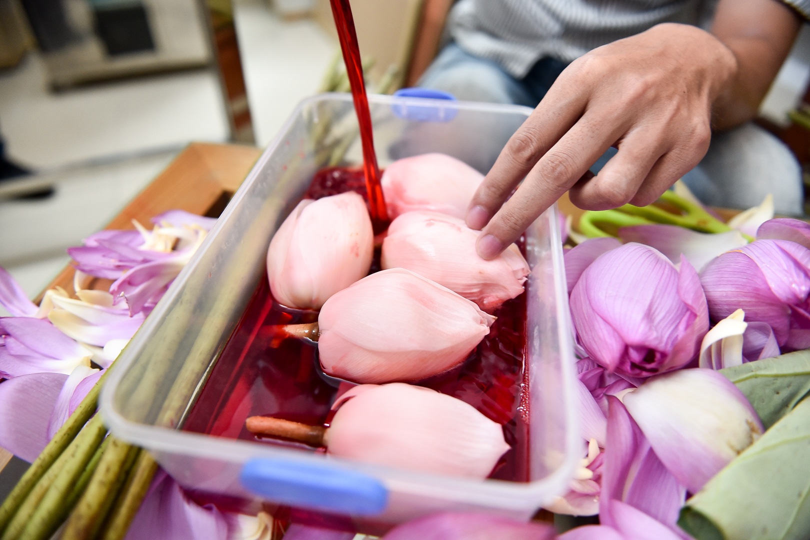 Chàng trai 8x bỏ công việc ngàn đô và hành trình đi tìm hoa sen “bất tử” - 10 Chàng trai 8x bỏ công việc ngàn đô và hành trình đi tìm hoa sen “bất tử” - 10