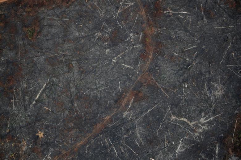 Ảnh: Giật mình trước mức độ cháy rừng ở Amazon - lá phổi của hành tinh